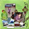 Filename=RBWParrotGreenPicking-My-Ca.jpg
Filesize=145KiB
Dimensions=500x500
Date added=Mar 19, 2009 RBWParrotGreenPicking-My-Ca.jpg