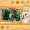 Filename=Crush.jpg
Filesize=115KiB
Dimensions=600x600
Date added=Sep 03, 2009 Crush.jpg