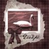 Filename=Trumpet-Swan.jpg
Filesize=47KiB
Dimensions=600x600
Date added=Mar 17, 2009 Trumpet-Swan.jpg