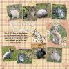 Filename=bunny_tales_tmnb.jpg
Filesize=160KiB
Dimensions=600x600
Date added=May 27, 2009 bunny_tales_tmnb.jpg