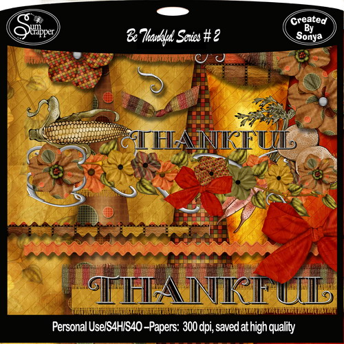Be Thankful Series # 2