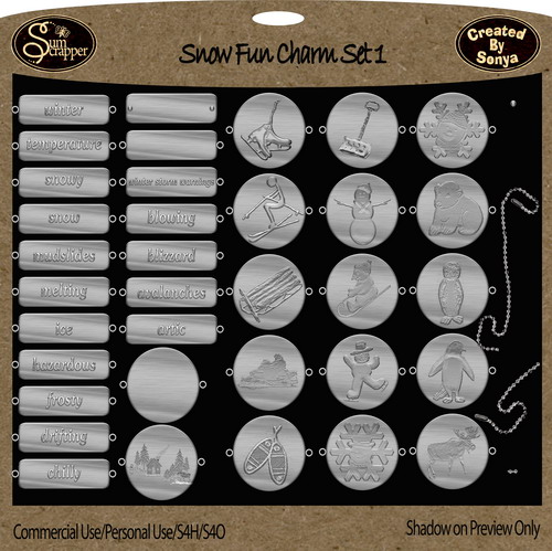 Snow Fun Charms